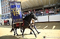 VBS_0804 - Palio di Asti 2024